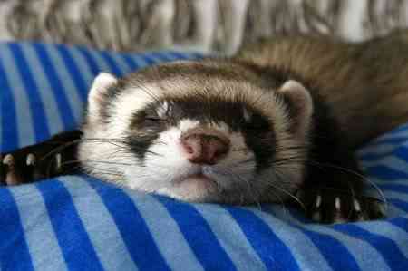 huron1 e1272562738587