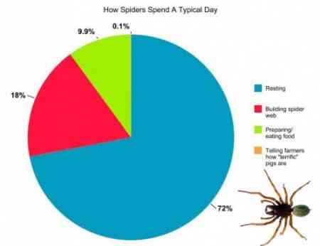 animales04 e1273840470804