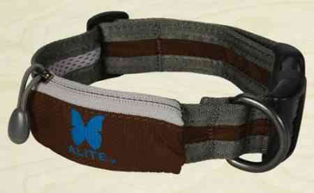 caca2 e1272998074482