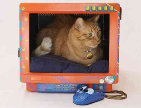 catbed e1274101397649