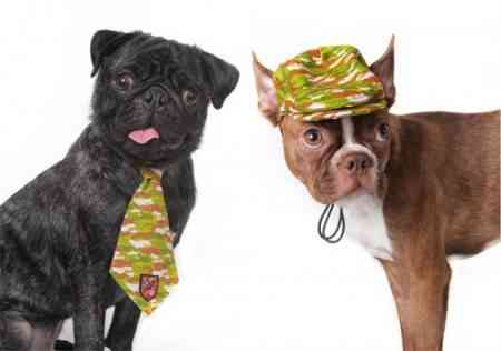 dog camo tie and cap e1282754363878