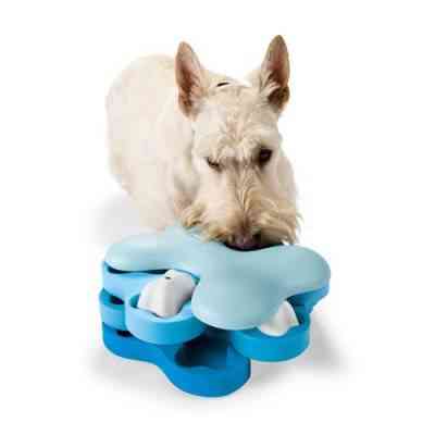 dog tornado interactive toy e1280855501800