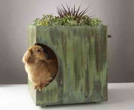 green-roof-dog-house green roof dog house e1281557261989