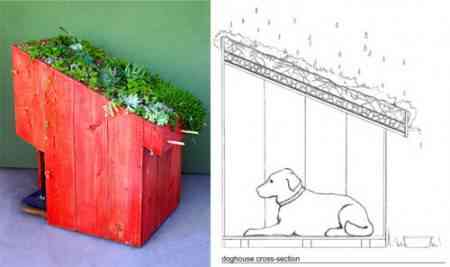 sustainable-pet-design-1 sustainable pet design 1 e1281557291503