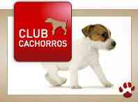 club
