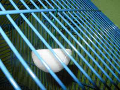 piedra de calcio piedra de calcio