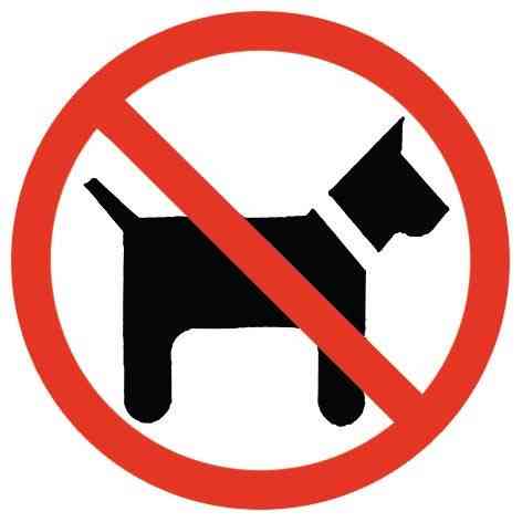 Prohibidos Los Perros Y Gatos En La Cuidad De Meca picture