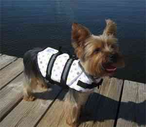 chaleco salvavidas para perros