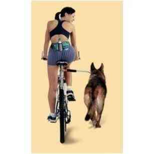 walkydog5