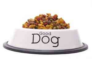 Good Dog Food comida