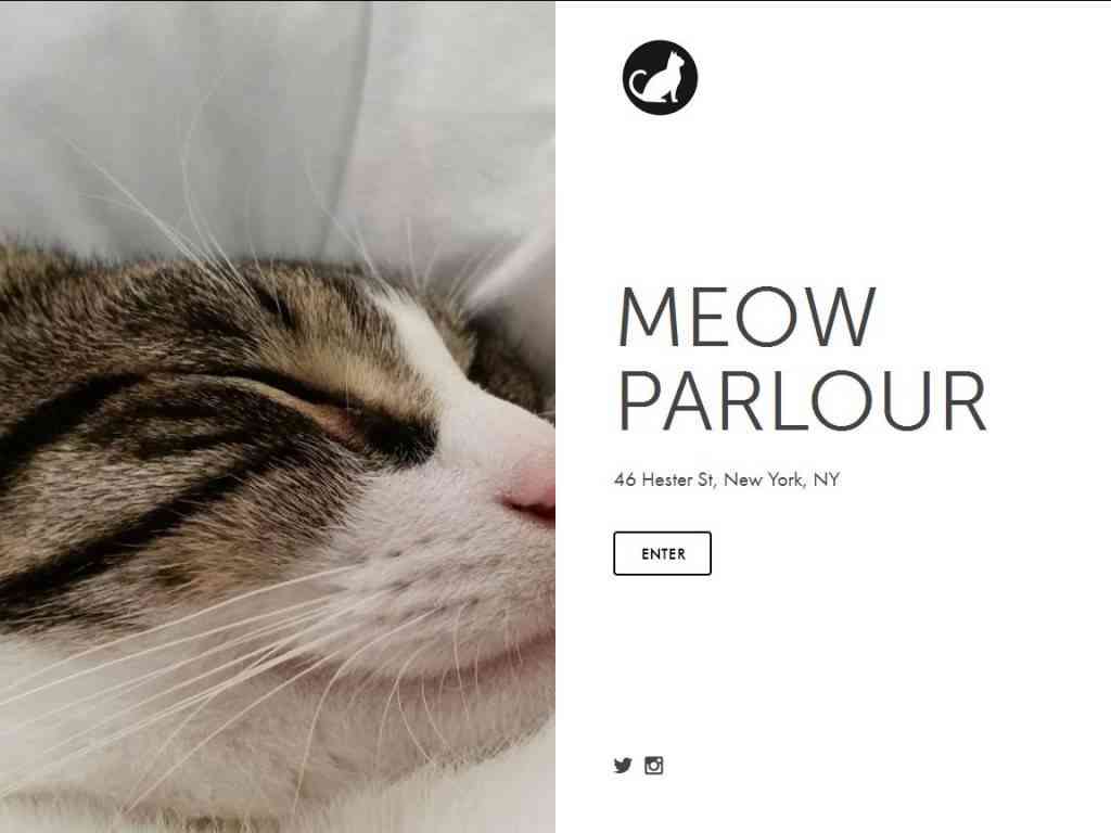 Abren un café para gatos en Nueva York, moda que crece 1 Café para gatos en Nueva York