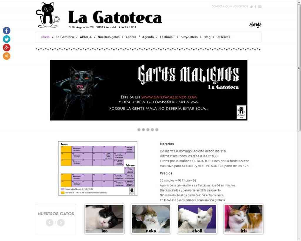 Los Cat Cafe más famosos del mundo, ¿dónde quedan? 1 Los Cat Cafe