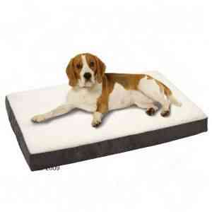 137766 karlie orthobed ecki 1