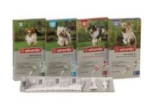 pipeta-advantix-bayern