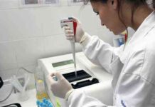 grado-veterinaria-uch-ceu-2