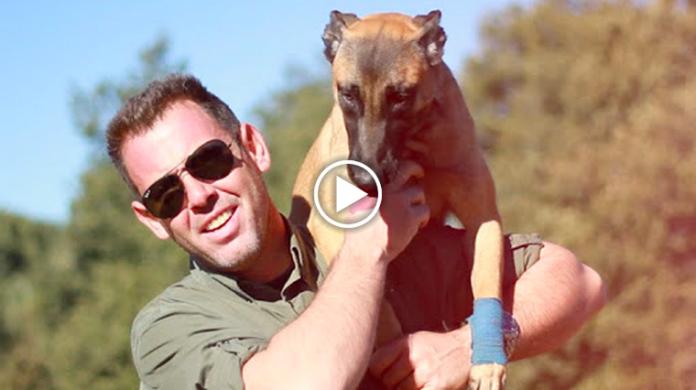 curso adiestramiento