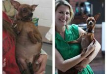 Trio Animal Foundation 6