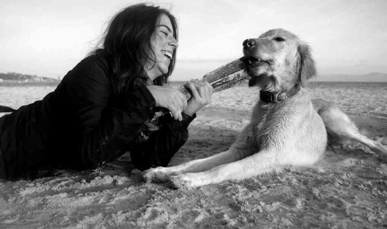 Cinco libros perfectos para adiestrar a tu mascota