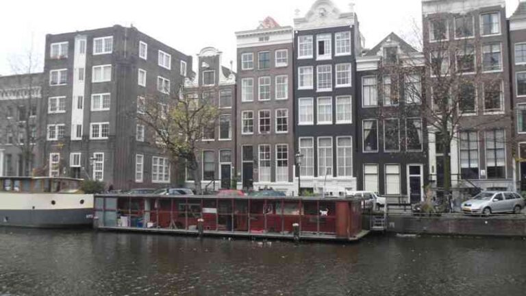 Destinos turísticos ideales para amantes de los gatos