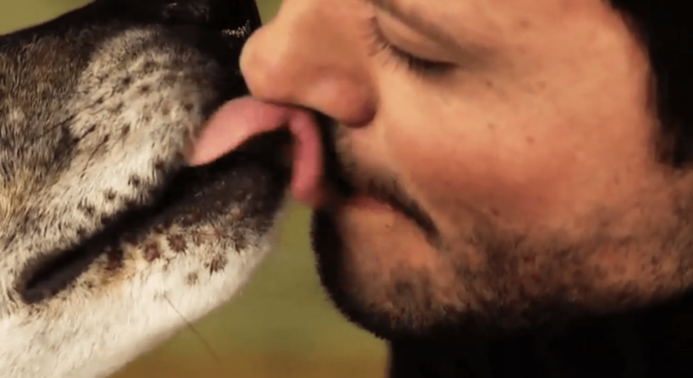 ¿Es bueno darse besos con nuestro perro?