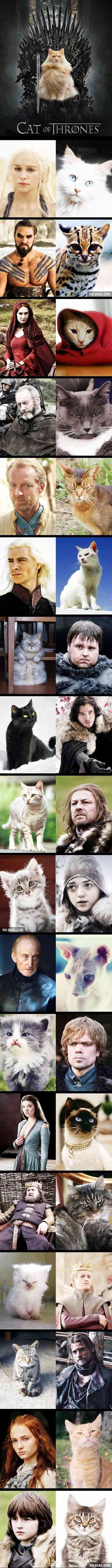 Cat of Thrones 9