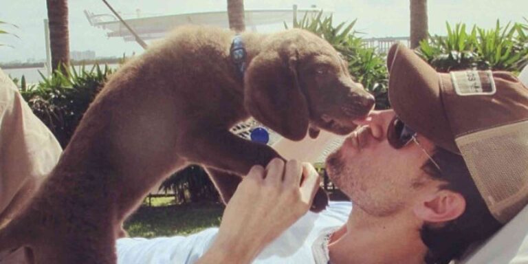 Los perros de Enrique Iglesias, autores de sus canciones