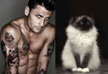 Los gatos más sexies del mundo 11