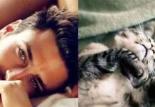 Los gatos más sexies del mundo 4