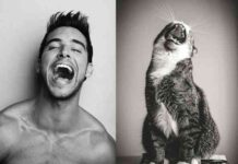 Los gatos más sexies del mundo 5