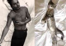 Los gatos más sexies del mundo 6