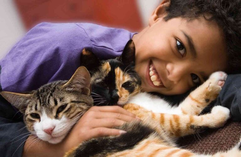 Las razas de gatos más recomendadas para niños