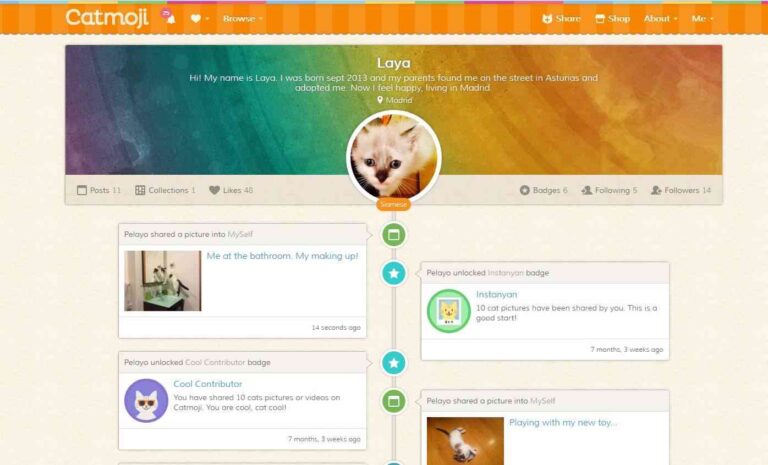 ¿Cuáles son las mejores redes sociales para mascotas?