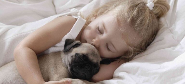 ¿Es aconsejable dormir con tu perro?