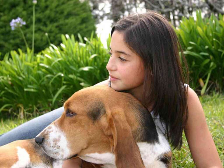 ¿Cúal es la mascota ideal para tu hijo?