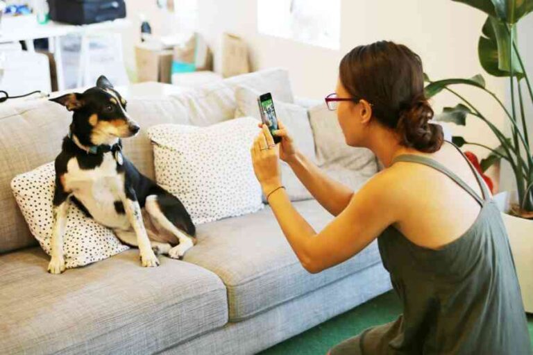 Barkcam, una aplicación android para hacer fotos a las mascotas