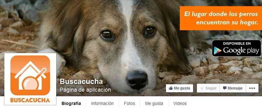 Aplicación Buscacuchas: un Tinder pero para mascotas