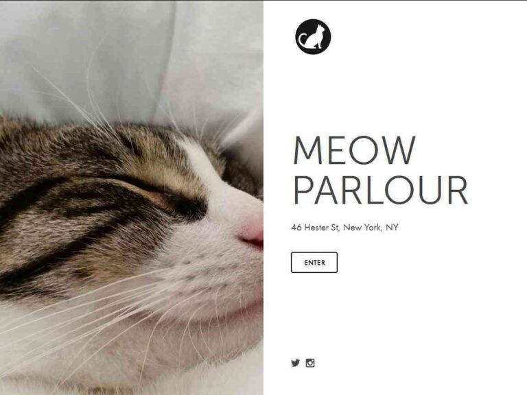 Abren un café para gatos en Nueva York, moda que crece