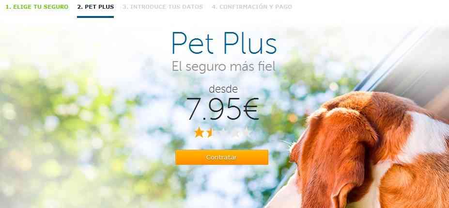 InterMundial lanza un nuevo seguro de viajes para mascotas