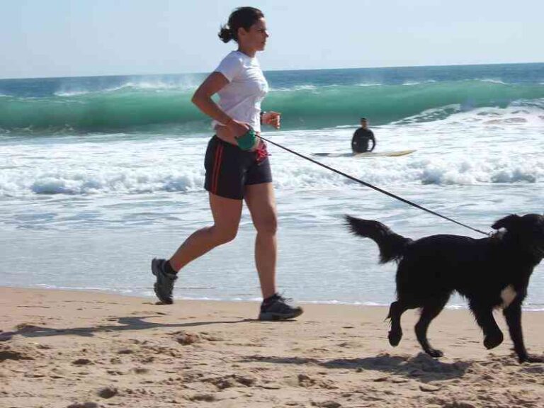 Razas de perros para corredores: las mejores tres opciones