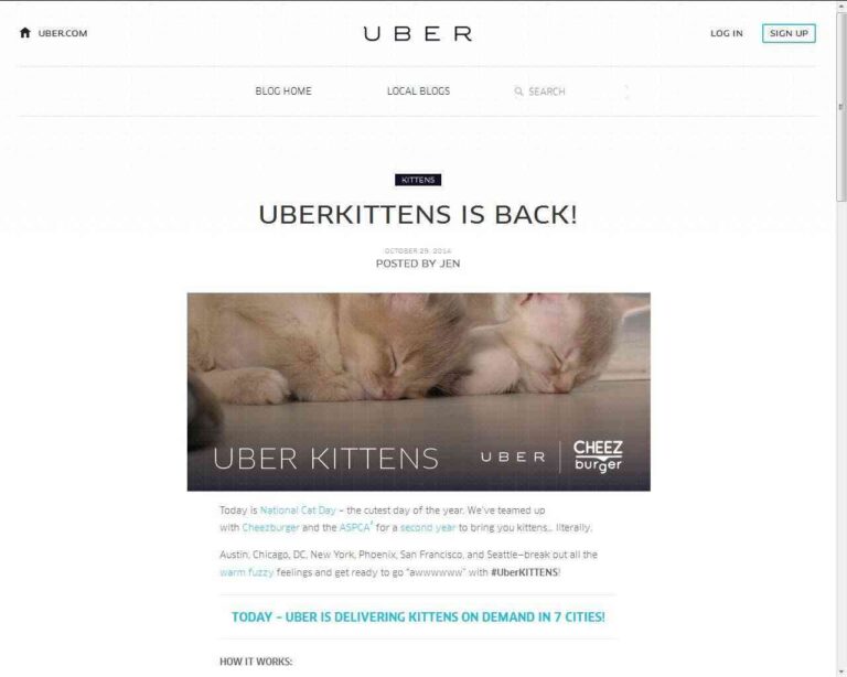 Uber para gatos: ¿cómo funciona el servicio para mascotas?
