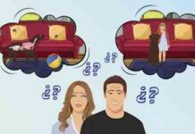 parasitos pueden afectar a tu perro -salud de la familia