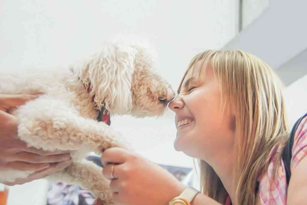 Relación entre mascotas y niños