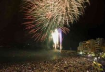 afectan a las mascotas