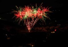 afectan a las mascotas