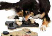 juguete de perro – tixie