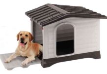 proteger a las mascotas del frío – casetas para mascotas