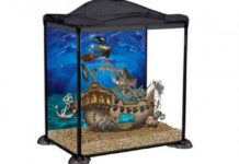 10 peceras pequeñas para regalar a los niños peceras pequeñas