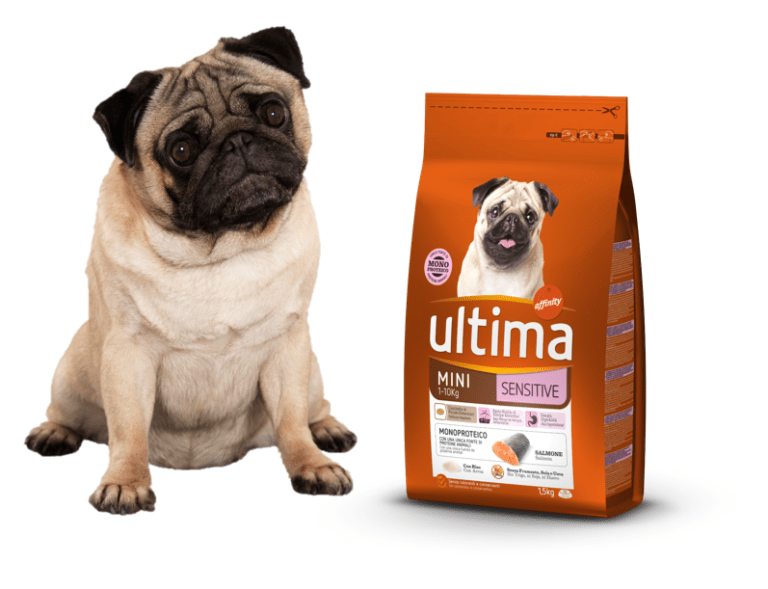 Ultima Mini Sensitive, el alimento ideal para perros pequeños con sensibilidades alimentaria