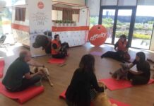 Affinity reivindica un día oficial de llevar el perro al trabajo