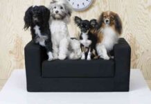 ikea lurvig mascotas 3